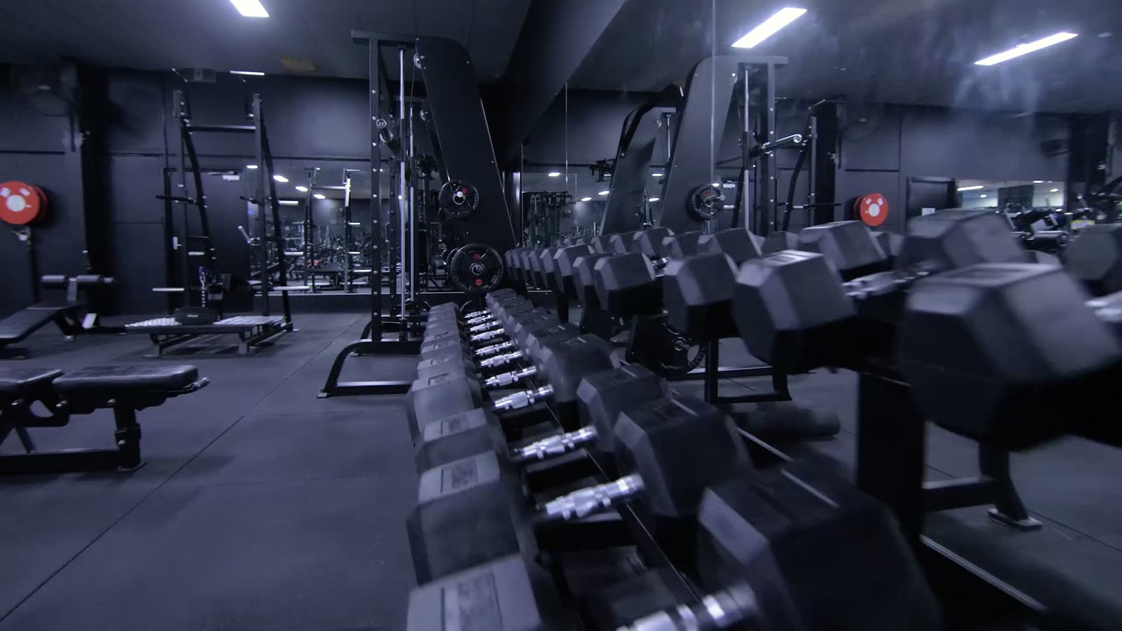 Dumbbell and free weights area on the Next Level gym floor