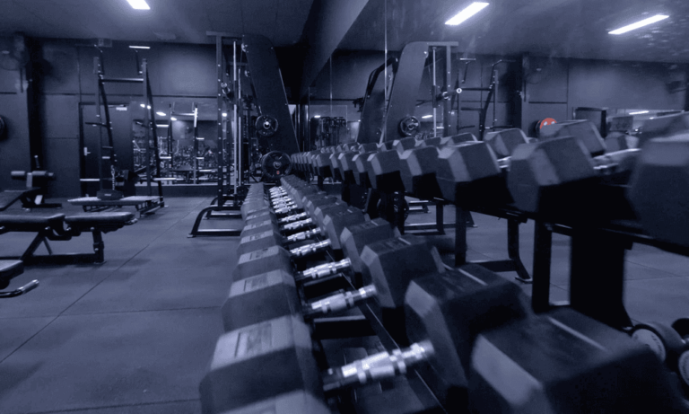 A huge line of dumbells in the gym at next level