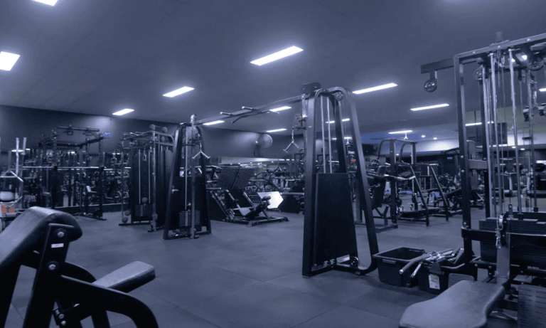 A huge gym area full of every type of gym equipment you could ever need