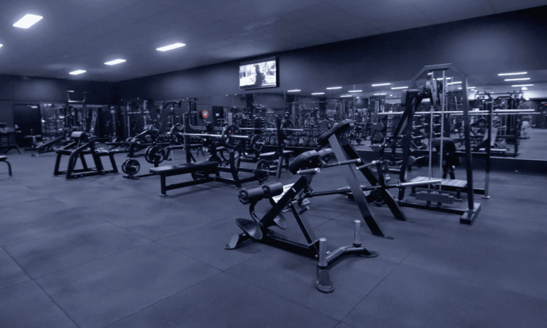 A large room of gym equipment of every type